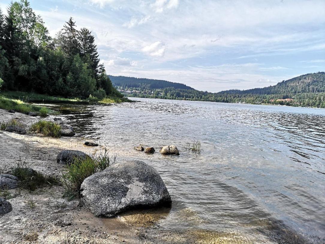 C1 Albmatte-Fewo Sauna, Hallenbad Aussenbecken Massagen Nebenan Menzenschwand-Hinterdorf Εξωτερικό φωτογραφία