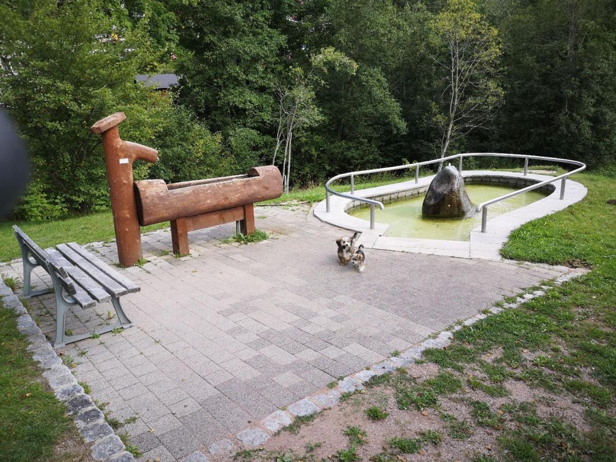 C1 Albmatte-Fewo Sauna, Hallenbad Aussenbecken Massagen Nebenan Menzenschwand-Hinterdorf Εξωτερικό φωτογραφία