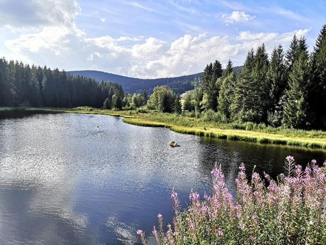 C1 Albmatte-Fewo Sauna, Hallenbad Aussenbecken Massagen Nebenan Menzenschwand-Hinterdorf Εξωτερικό φωτογραφία