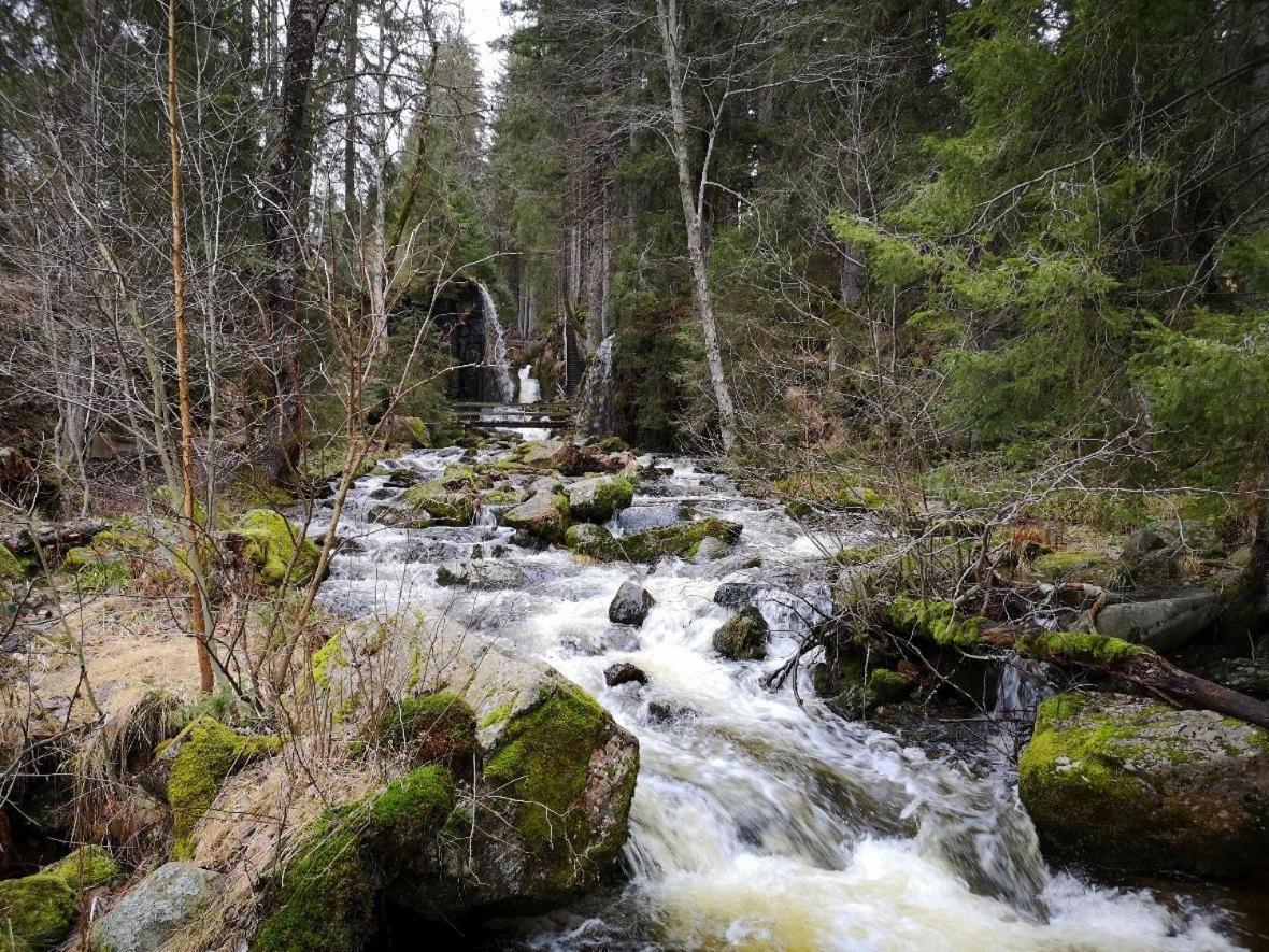C1 Albmatte-Fewo Sauna, Hallenbad Aussenbecken Massagen Nebenan Menzenschwand-Hinterdorf Εξωτερικό φωτογραφία