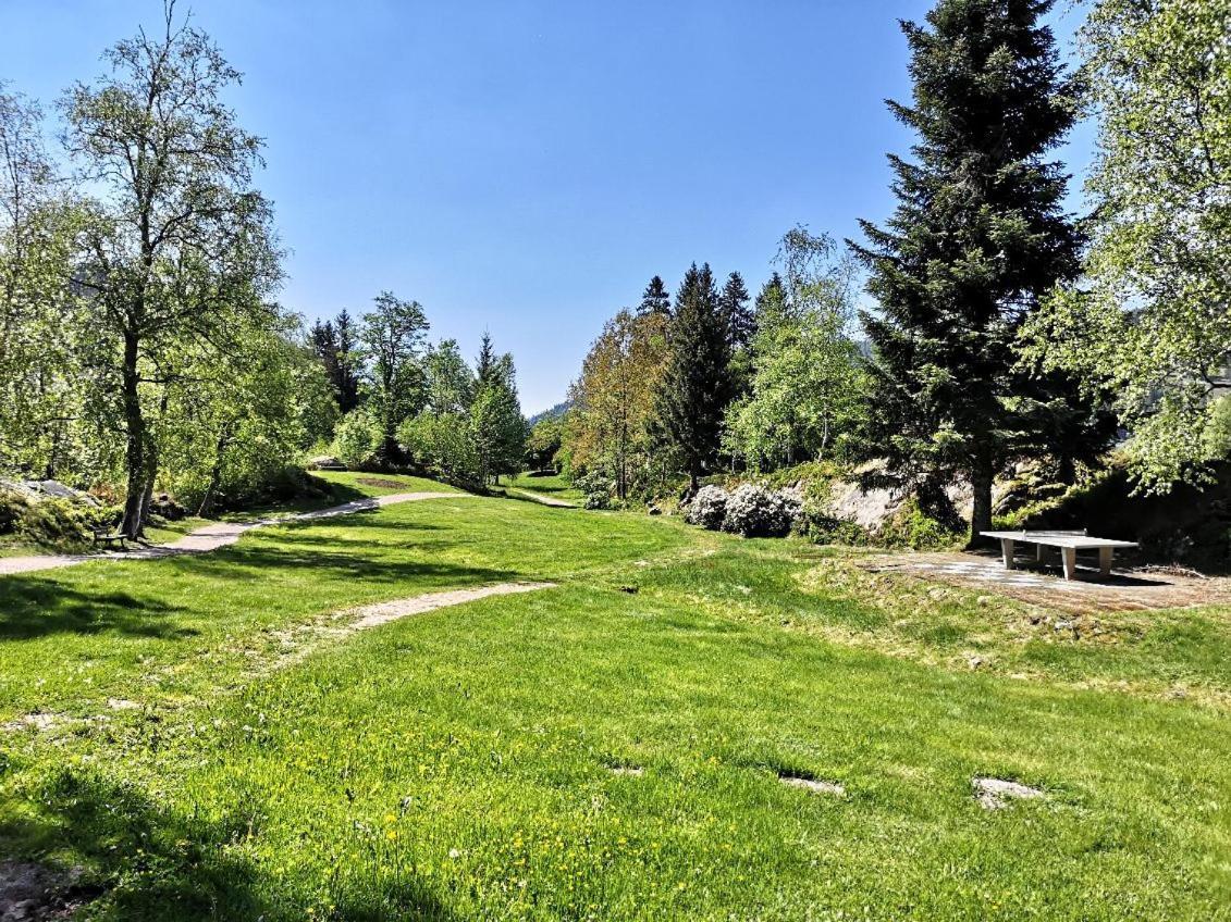 C1 Albmatte-Fewo Sauna, Hallenbad Aussenbecken Massagen Nebenan Menzenschwand-Hinterdorf Εξωτερικό φωτογραφία