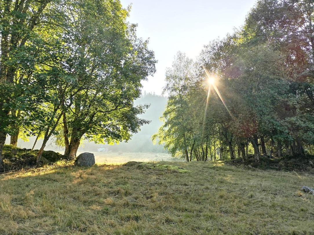 C1 Albmatte-Fewo Sauna, Hallenbad Aussenbecken Massagen Nebenan Menzenschwand-Hinterdorf Εξωτερικό φωτογραφία