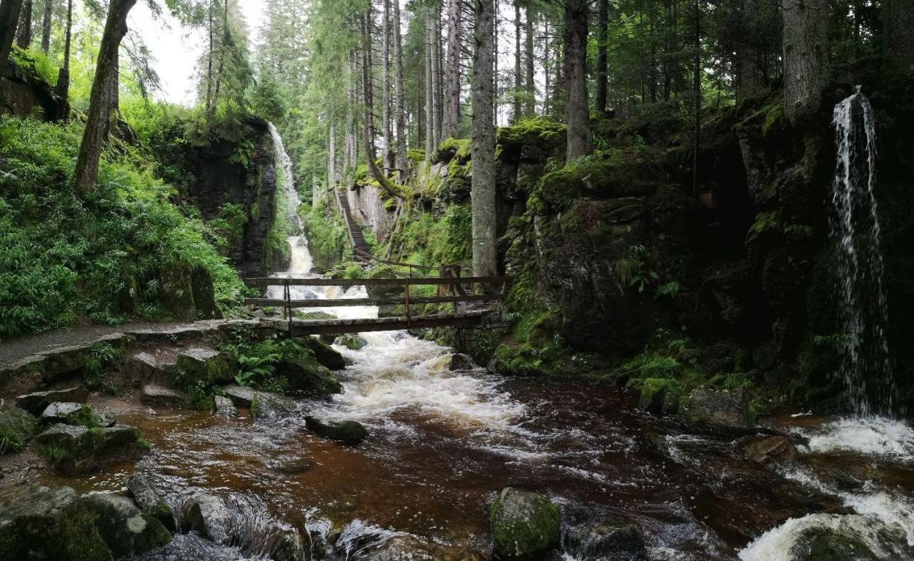 C1 Albmatte-Fewo Sauna, Hallenbad Aussenbecken Massagen Nebenan Menzenschwand-Hinterdorf Εξωτερικό φωτογραφία