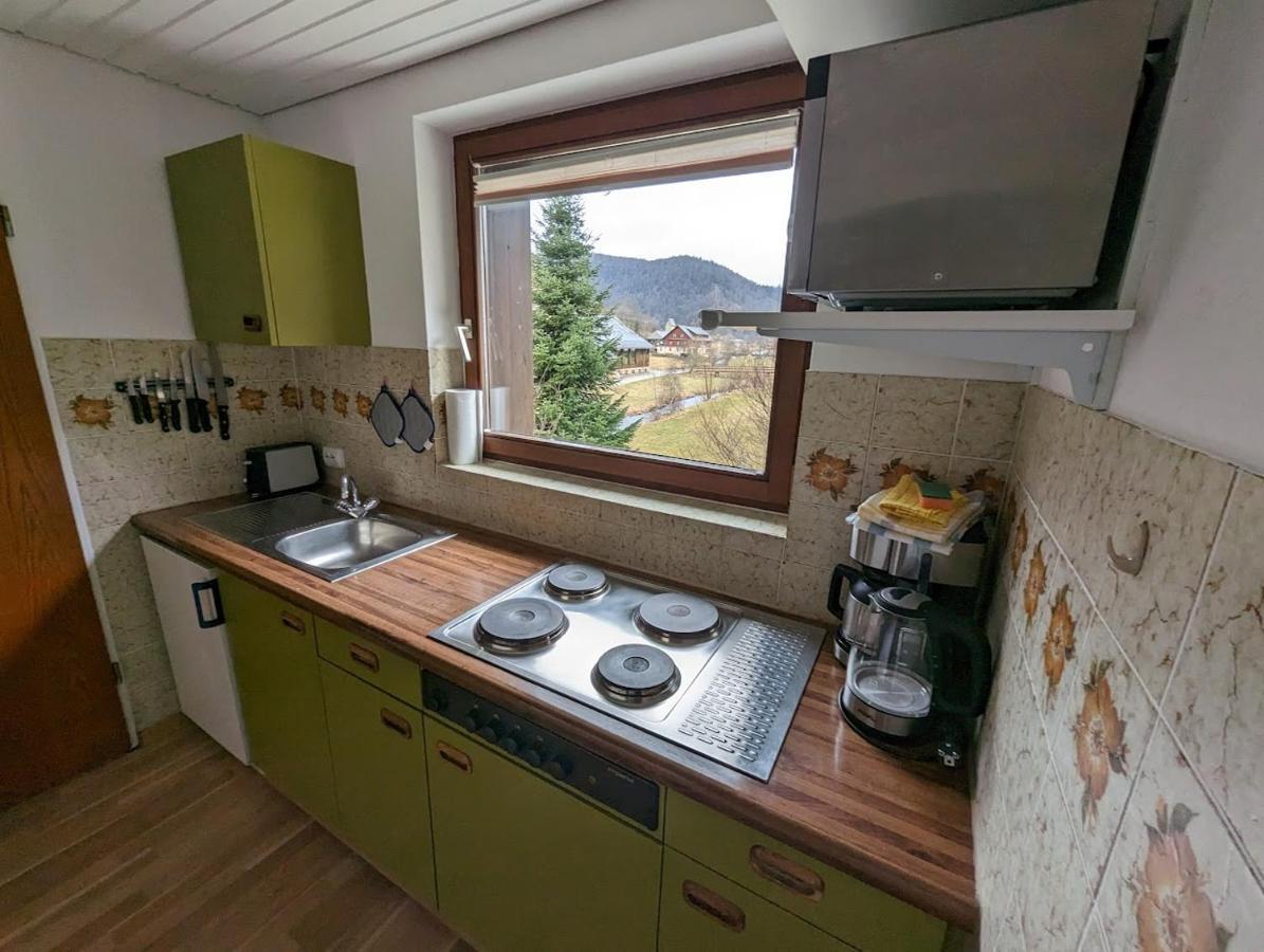 C1 Albmatte-Fewo Sauna, Hallenbad Aussenbecken Massagen Nebenan Menzenschwand-Hinterdorf Εξωτερικό φωτογραφία