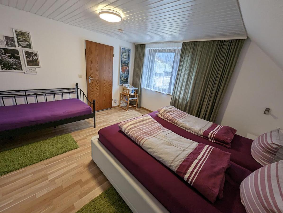 C1 Albmatte-Fewo Sauna, Hallenbad Aussenbecken Massagen Nebenan Menzenschwand-Hinterdorf Εξωτερικό φωτογραφία
