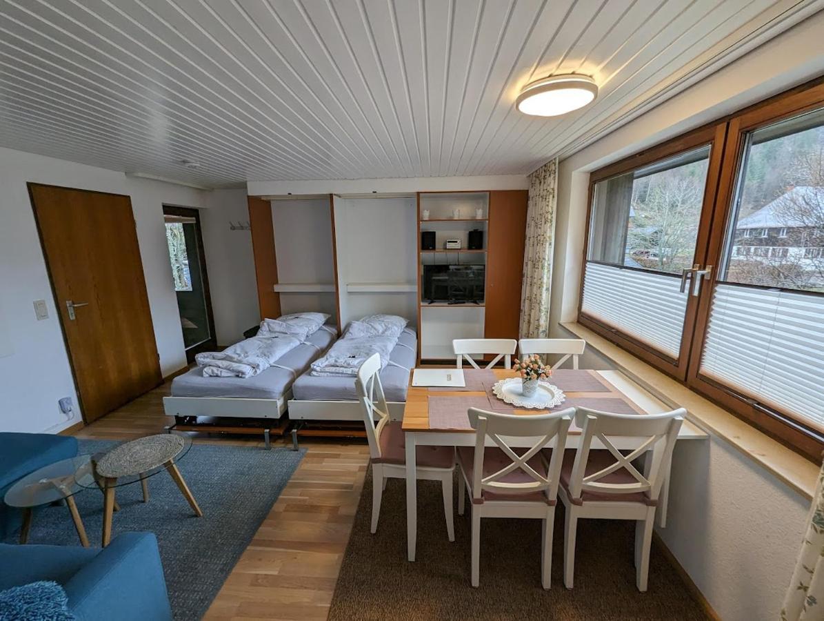 C1 Albmatte-Fewo Sauna, Hallenbad Aussenbecken Massagen Nebenan Menzenschwand-Hinterdorf Εξωτερικό φωτογραφία