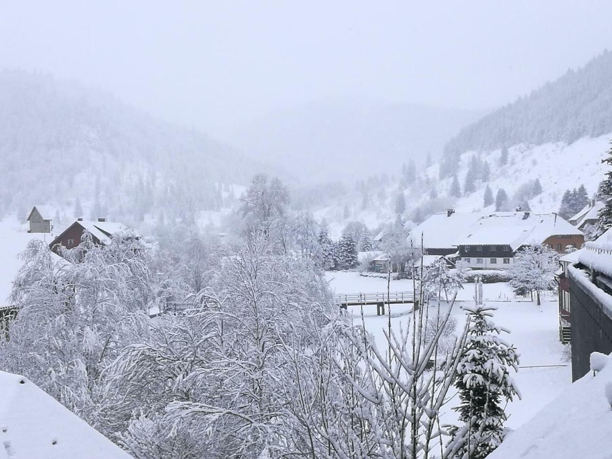 C1 Albmatte-Fewo Sauna, Hallenbad Aussenbecken Massagen Nebenan Menzenschwand-Hinterdorf Εξωτερικό φωτογραφία