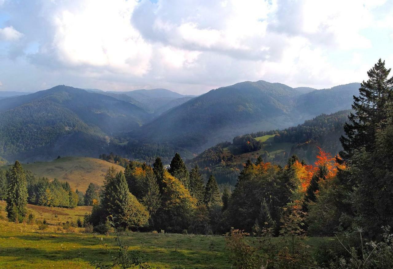 C1 Albmatte-Fewo Sauna, Hallenbad Aussenbecken Massagen Nebenan Menzenschwand-Hinterdorf Εξωτερικό φωτογραφία