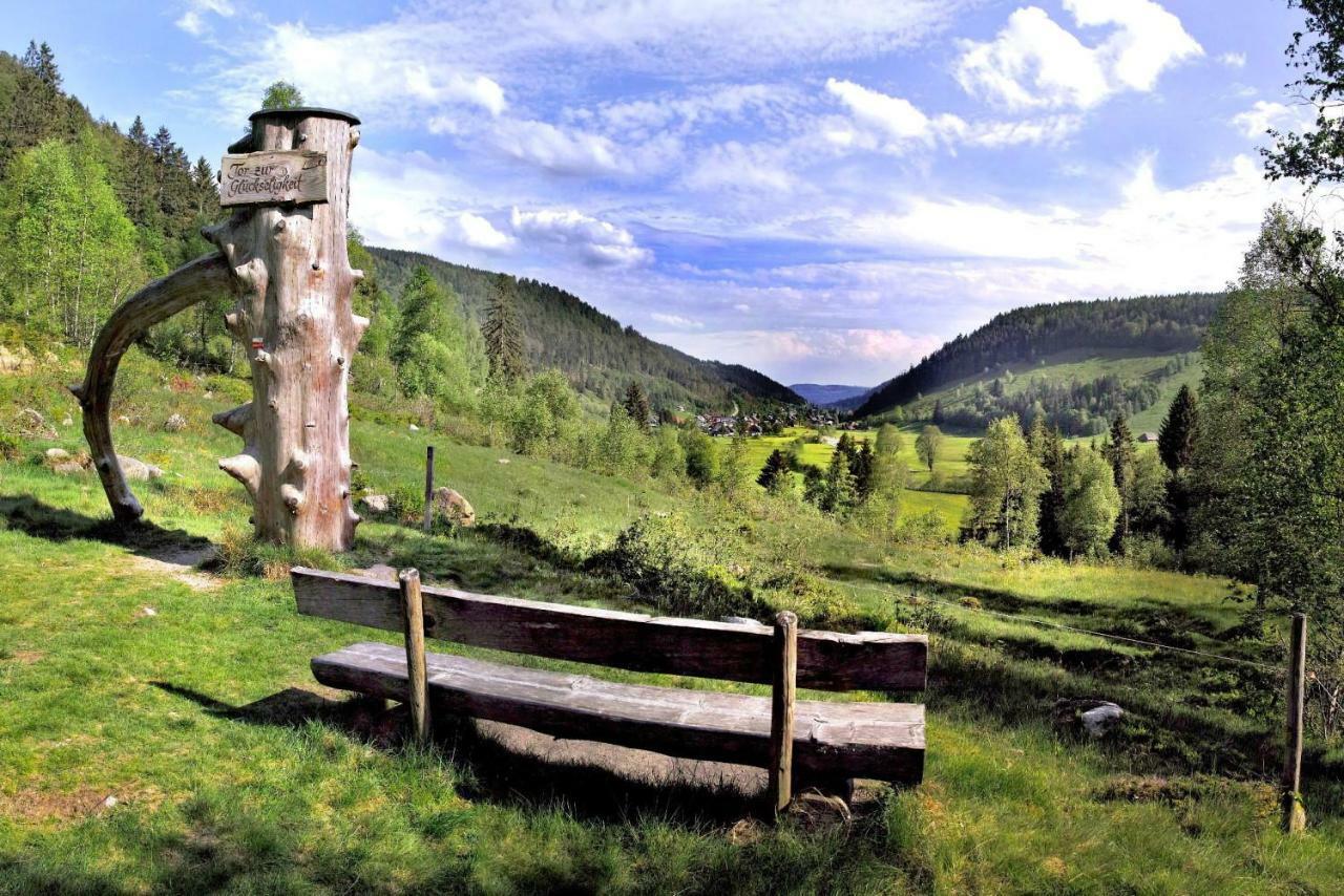 C1 Albmatte-Fewo Sauna, Hallenbad Aussenbecken Massagen Nebenan Menzenschwand-Hinterdorf Εξωτερικό φωτογραφία