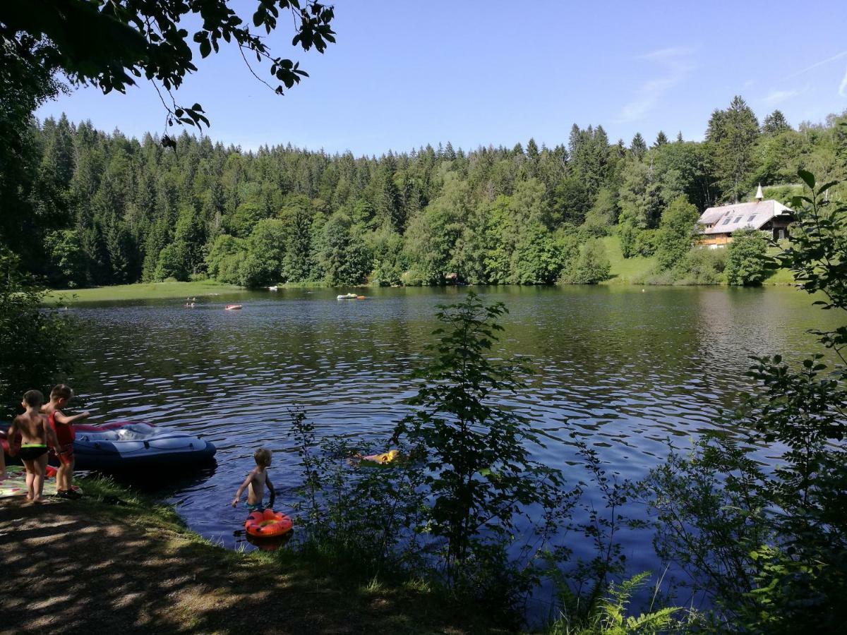 C1 Albmatte-Fewo Sauna, Hallenbad Aussenbecken Massagen Nebenan Menzenschwand-Hinterdorf Εξωτερικό φωτογραφία