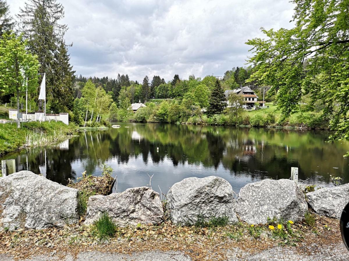 C1 Albmatte-Fewo Sauna, Hallenbad Aussenbecken Massagen Nebenan Menzenschwand-Hinterdorf Εξωτερικό φωτογραφία
