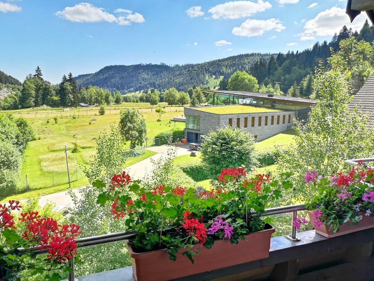 C1 Albmatte-Fewo Sauna, Hallenbad Aussenbecken Massagen Nebenan Menzenschwand-Hinterdorf Εξωτερικό φωτογραφία
